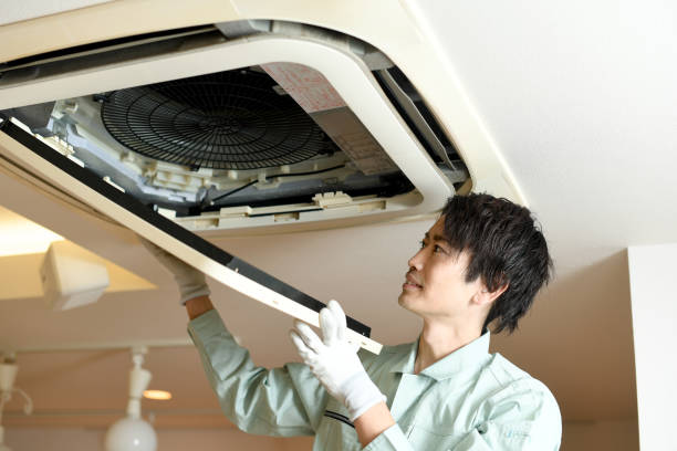 Best Ductwork Cleaning Services  in Delta Junction, AK