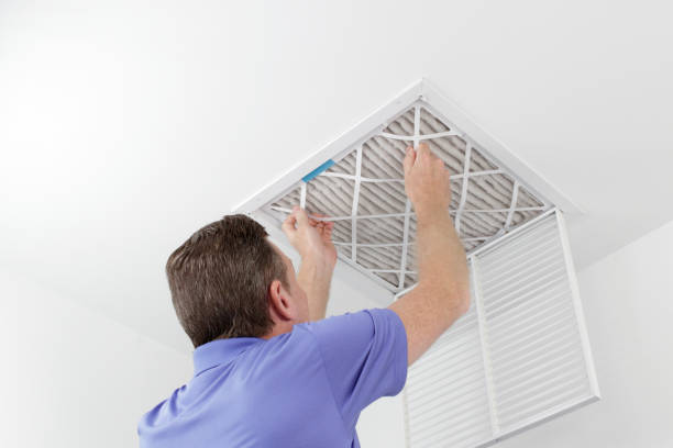 Best Duct Cleaning for Homes  in Delta Junction, AK